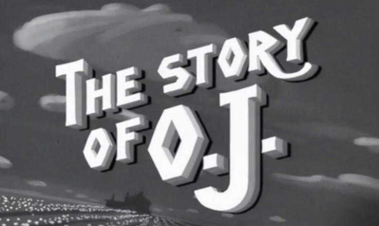 10位：The Story of O.J. 