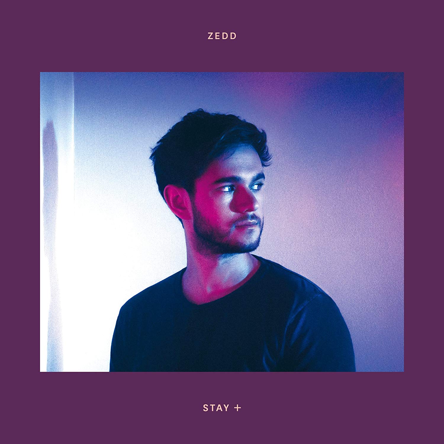 TOP15：Zedd　ステイ+