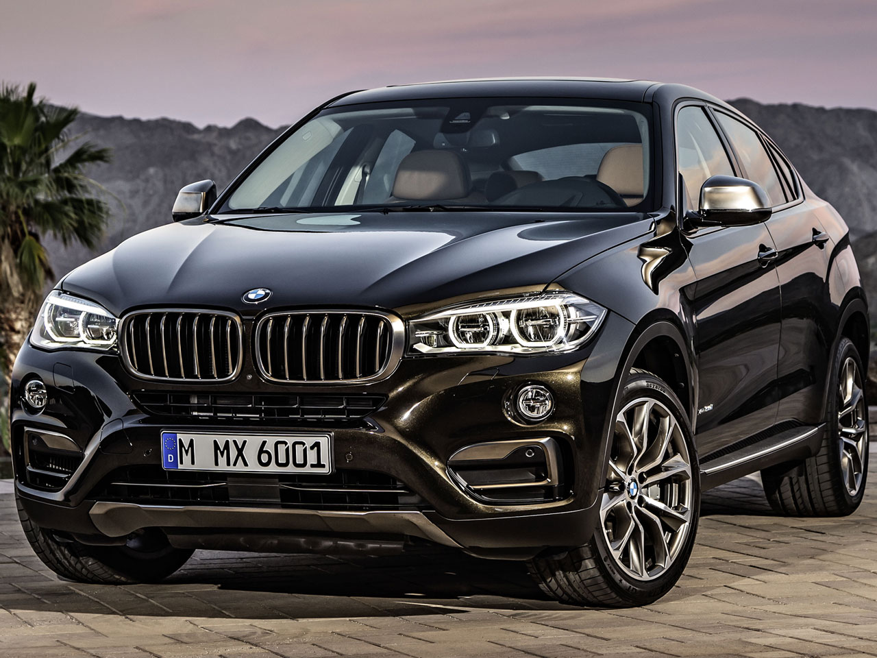 愛車：BMW・X6