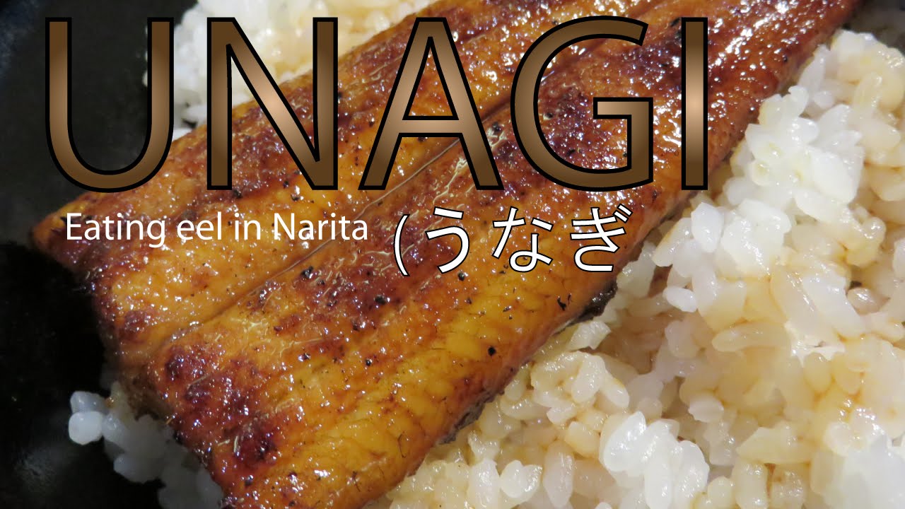 Unagi (EEL) In Narita, Japan | Unagi Lunch At Kikuya - YouTube