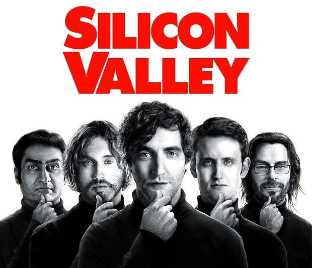 TOP8：Silicon Valley