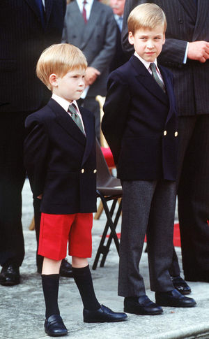 若い頃（子供時代）のウィリアム王子とハリー王子