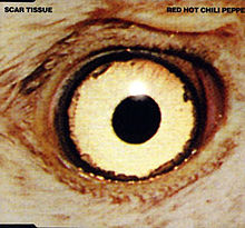 ８位　Scar Tissue