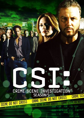 TOP6位：CSI:科学捜査班