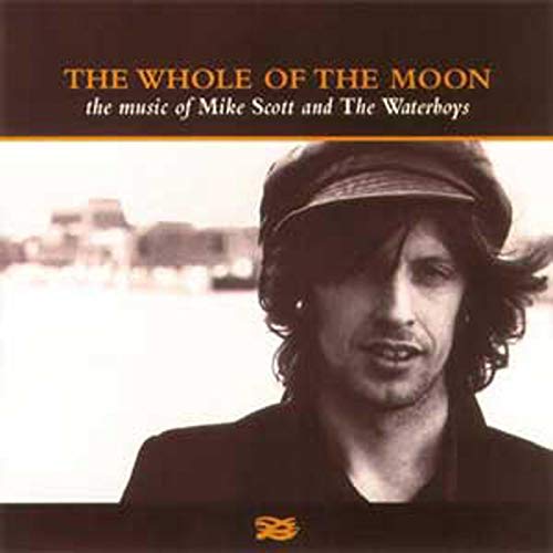 1985年発売の「The Whole Of The Moon」はロック界の名曲として、プリンスなどにカバーされている