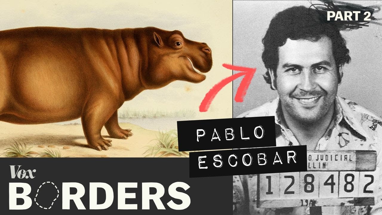 3000人以上を殺した史上最悪の麻薬王 パブロ・エスコバルと、4頭の「コカイン・カバ」 | JASON RODMAN