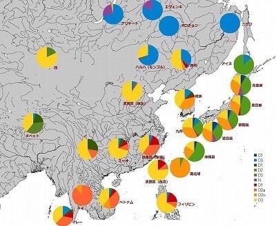 日本人のDNAは隣国と大きくかけ離れている