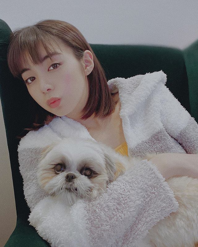  2019年の年末、愛犬との画像をInstagramにアップ