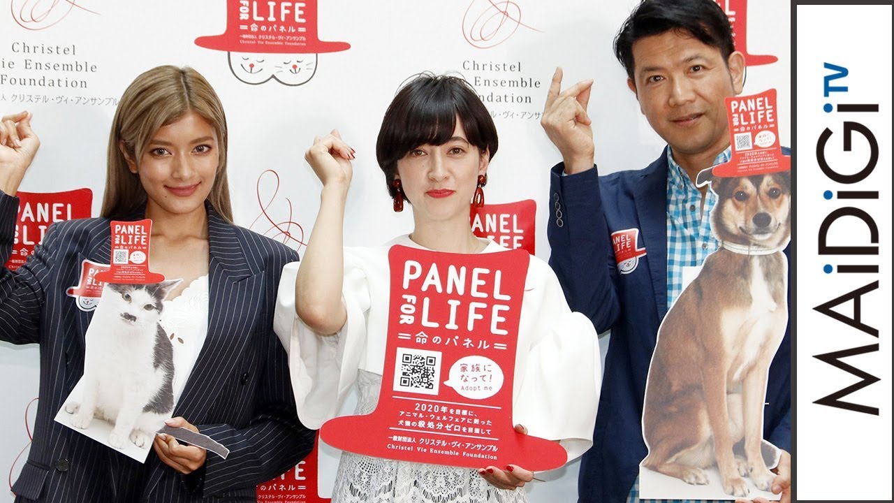 ローラ、滝川クリステル＆別所哲也と「保護犬、保護猫」を語る　「Panel for Life 命のパネル」発表会2 - YouTube