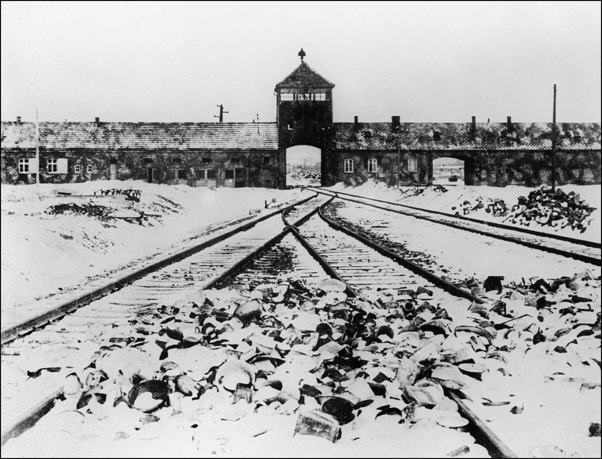アウシュビッツ強制収容所などで数々の人体実験が行われていた