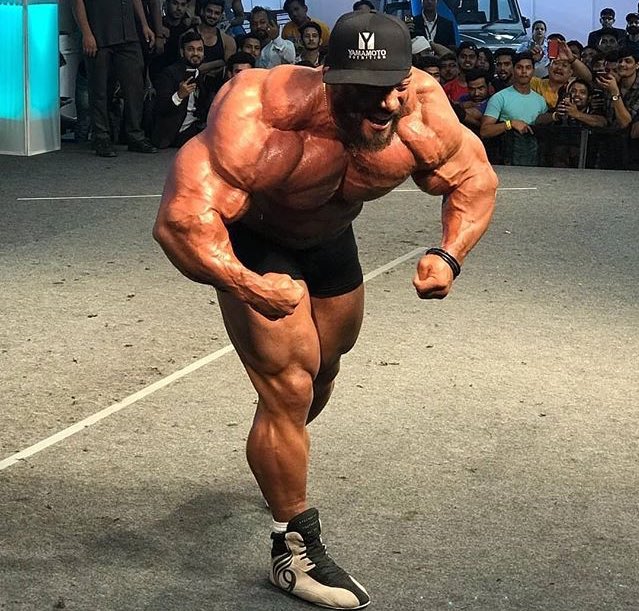 ローリー・ウィンクラーの体重（オンシーズン）：118kg～120kg