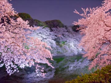松任谷由実の「春よ、来い」の英語バージョンも人気
