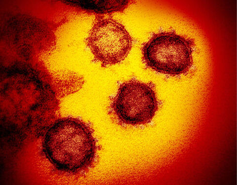 2019年に発生した新型コロナウイルス感染症（国際正式名称：COVID-19）