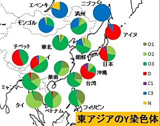 エベンキ族と韓国人に共通するY染色体を発見