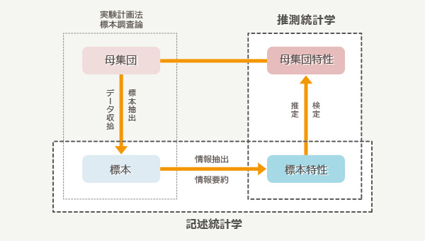 ナイチンゲールの統計データが「統計学の誕生」に繋がったとされている