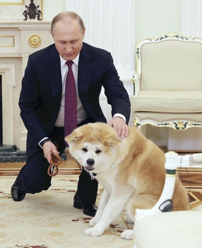 プーチン大統領は愛犬「ゆめ（秋田犬）」を飼っている