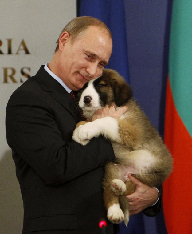 プーチン大統領と犬