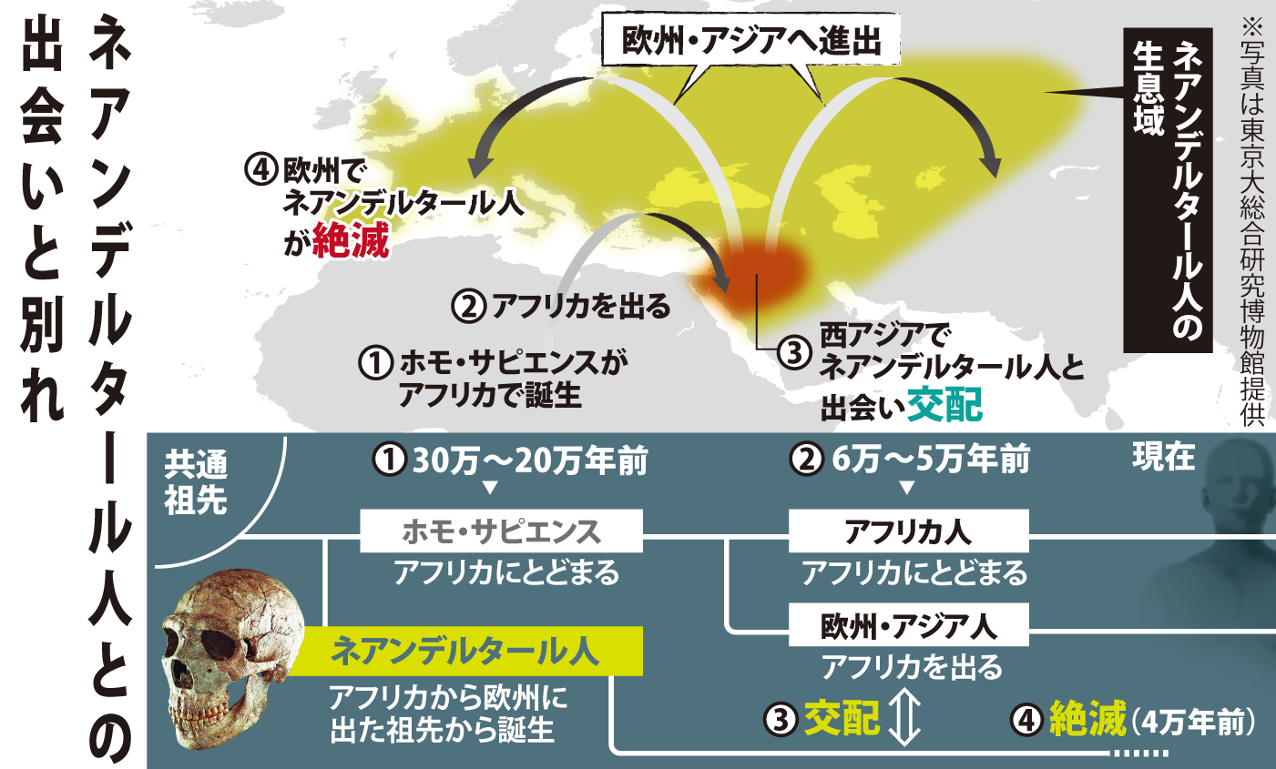 ネアンデルタール人のルーツはアフリカだった