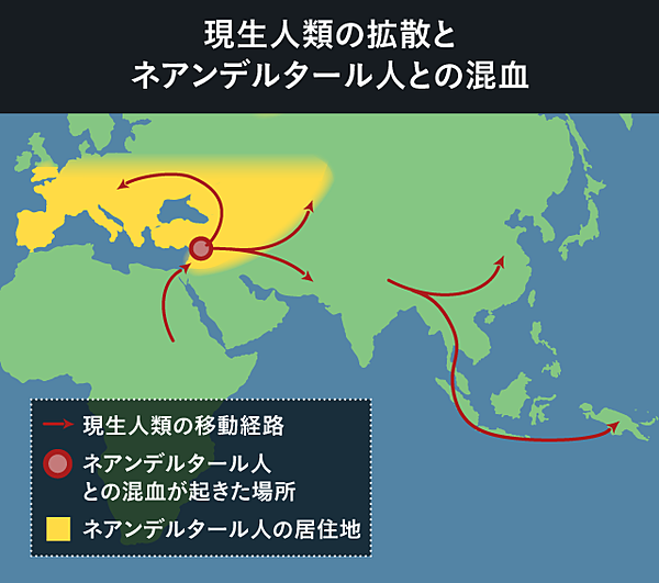 人類とネアンデルタール人の混血の分布図