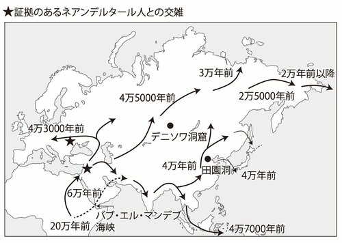 ネアンデルタール人とホモ・サピエンスの交雑の流れ