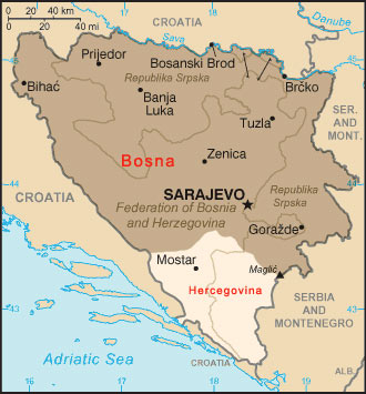 「ボスニア併合のみがセルビアを救う」をスローガンにしていたセルビア