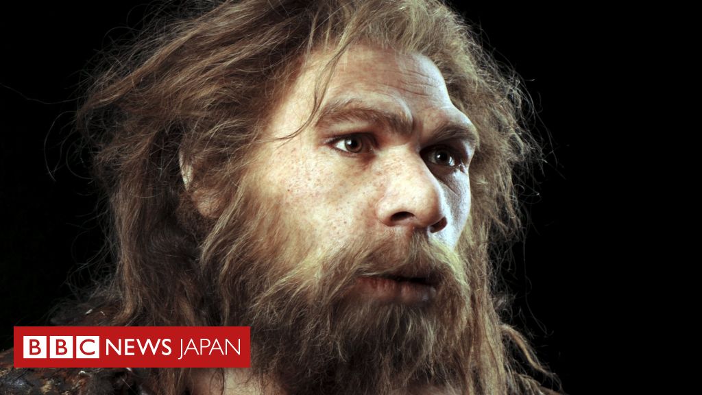 ネアンデルタール人とヒトは10万年前にセックスしていた？ - BBCニュース