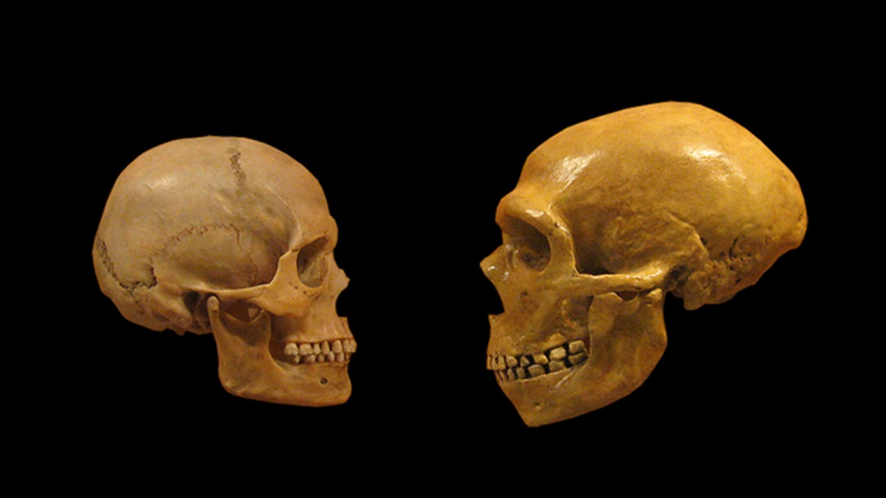 ネアンデルタール人と現生人類との交雑は、数十万年前から起きていた