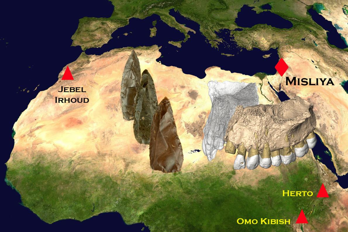 人類の出アフリカは18万年前？定説覆す化石発見 | ナショナル ジオグラフィック日本版サイト