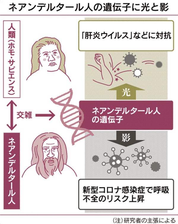 ネアンデルタール人は新型コロナに不適切な遺伝子を持つ