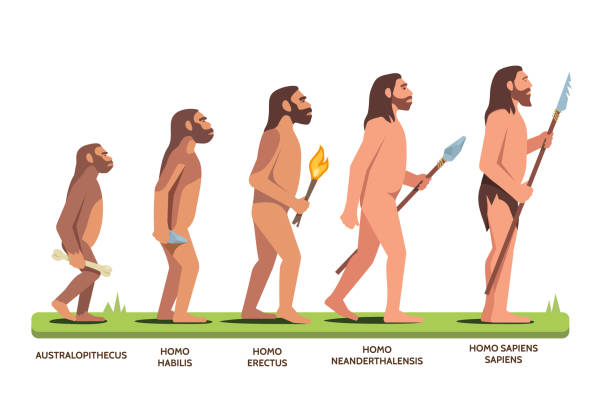 猿人・原人・旧人・新人と進化してきたホモ・サピエンス