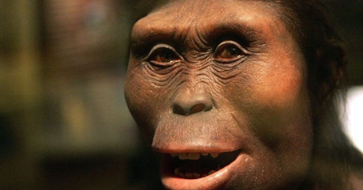 猿人｢ルーシー｣の300万年前の死因が明らかに「彼女の人間味がより増してきた」 | ハフポスト NEWS