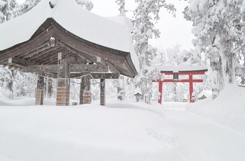 雪が多く地中が天然の乾燥室代わりに