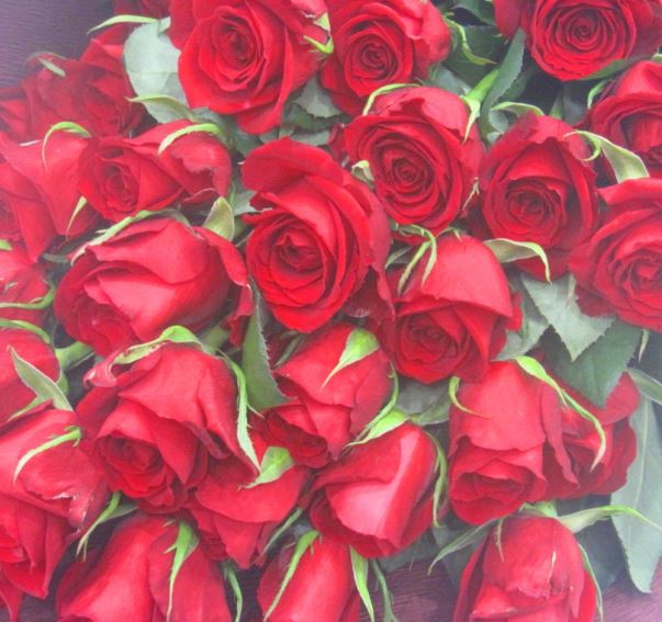 ジュリアに36本の赤いバラを贈る