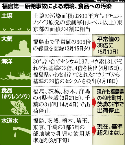 福島第一原発事故による環境・食への汚染について