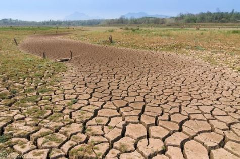 干ばつが長引くアフガニスタン住民1万4000人の生活改善に期待