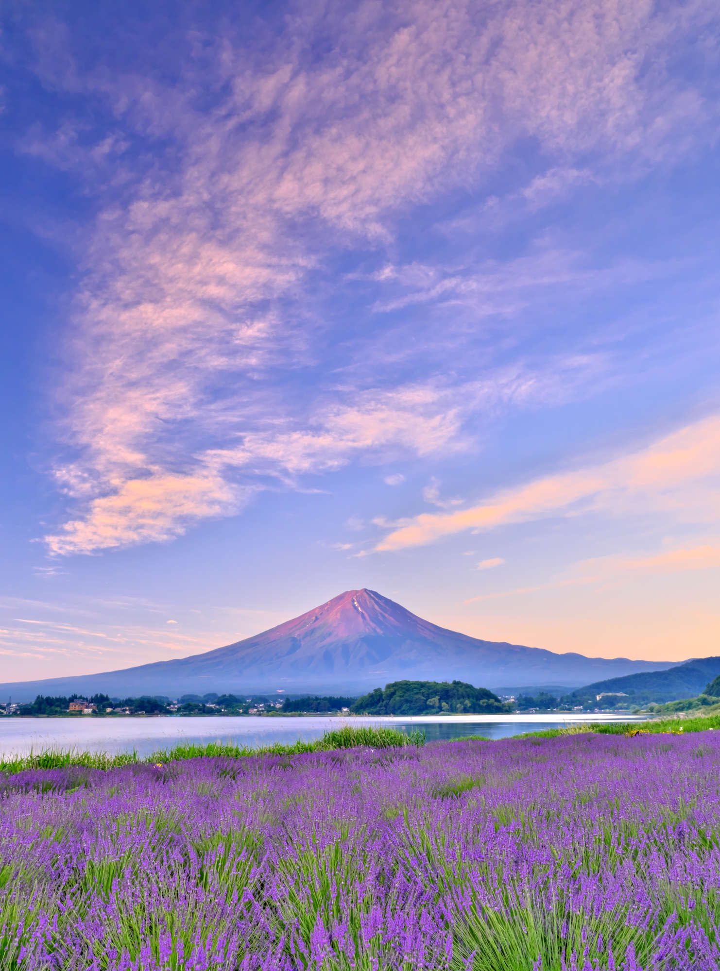 杉本エリックの国籍はどこ？