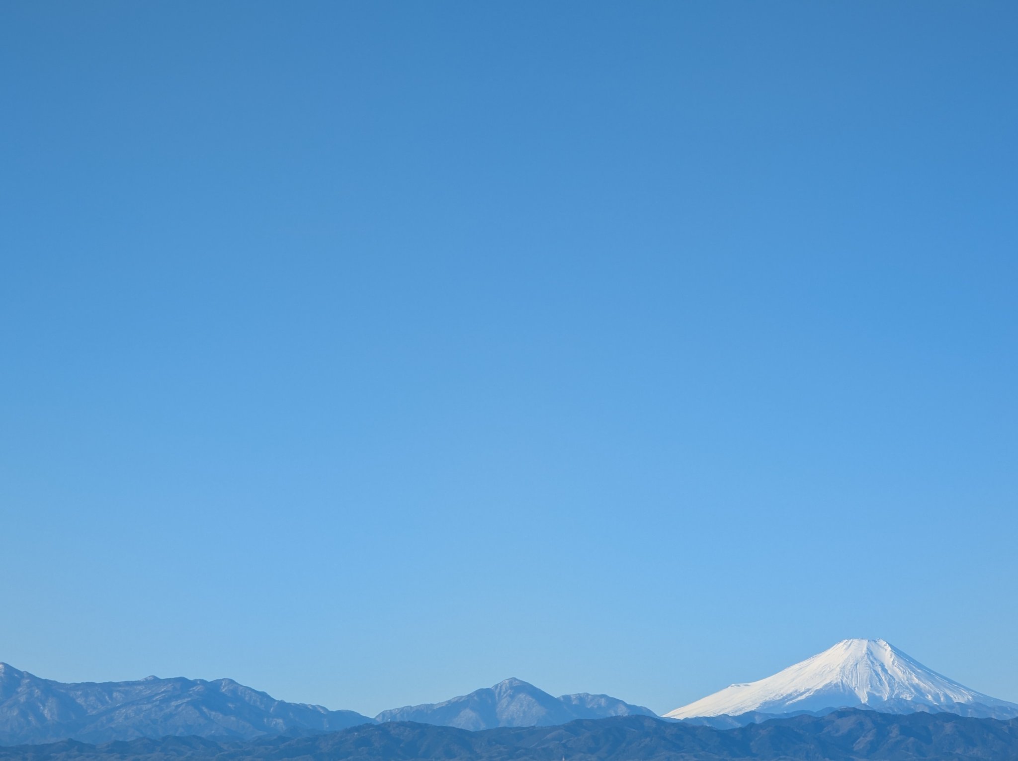 帰国後は優雅な生活を送っていた