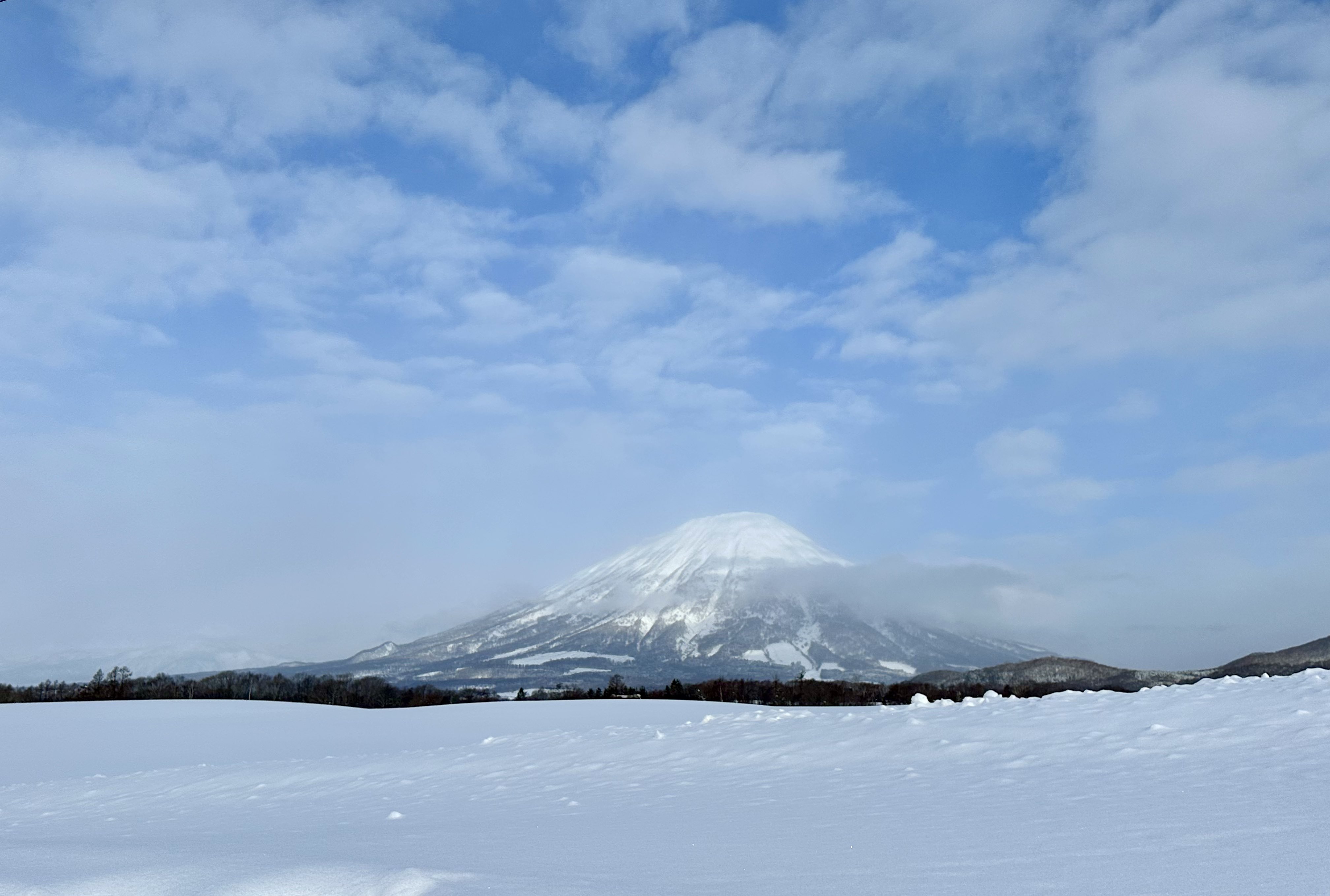 かなりの年収を得ていた