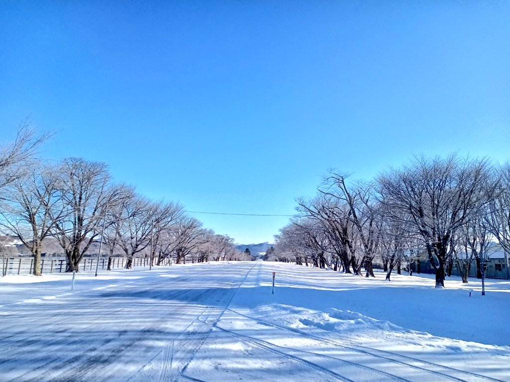 高学歴の持ち主でもあった